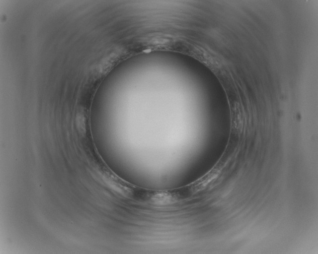 X0000074310562200609152009