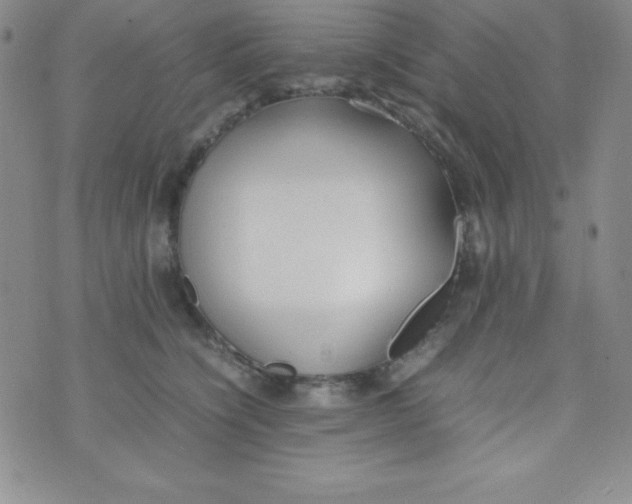 X0000074310564200609152010