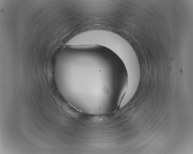 X0000074310566200609152010