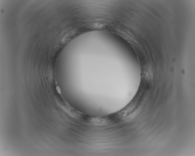 X0000074310568200609152010