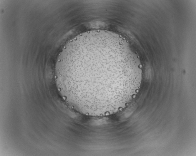 X0000074310569200609152010