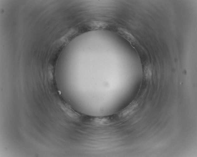 X0000074310570200609152010