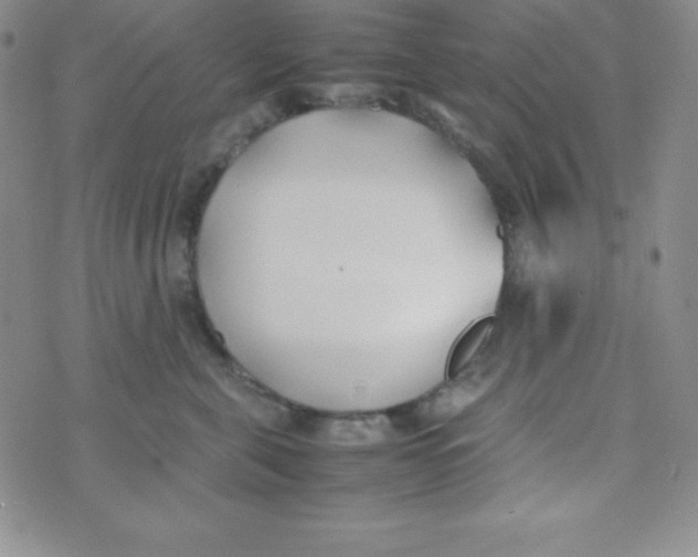 X0000074310571200609152010