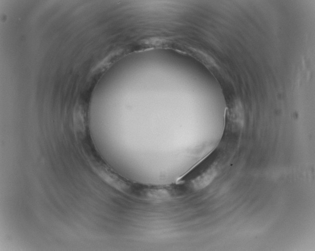 X0000074310572200609152010