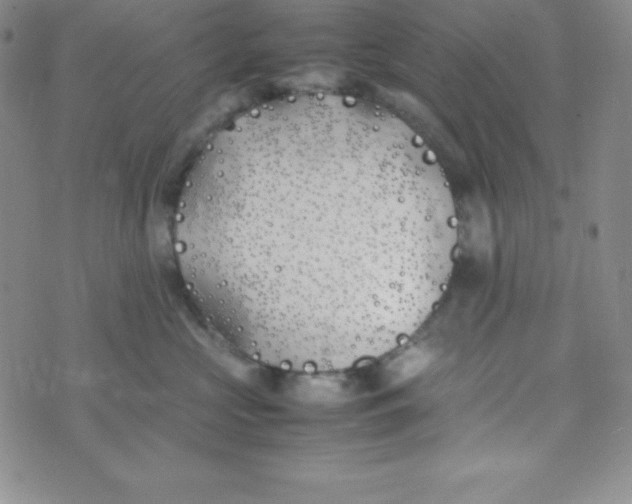 X0000074310573200609152010