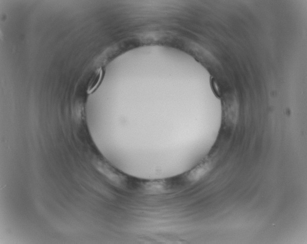 X0000074310574200609152010