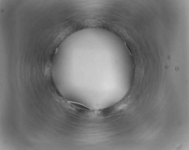 X0000074310576200609152010