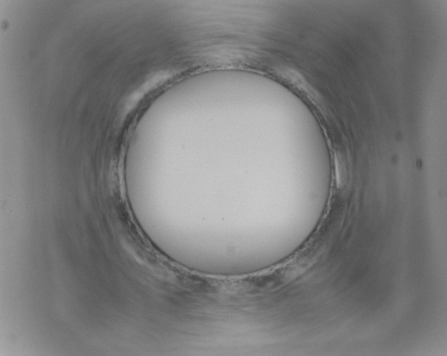 X0000074310579200609152009