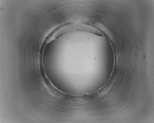 X0000074310580200609152009