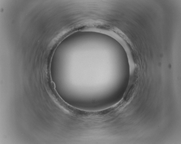 X0000074310581200609152009