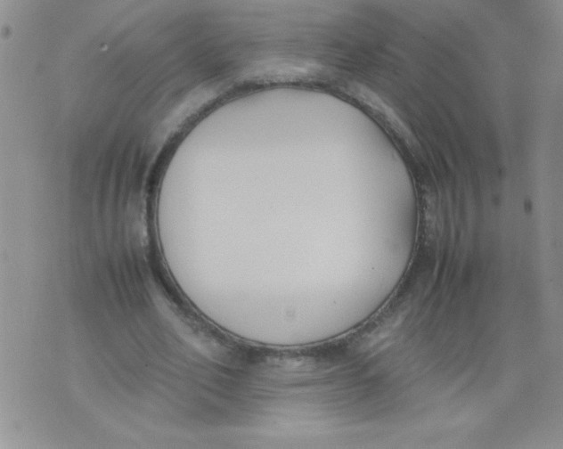 X0000074310582200609152009