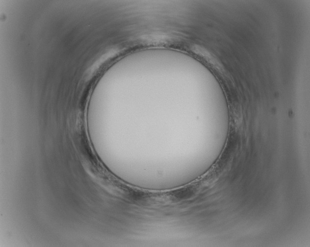 X0000074310583200609152009