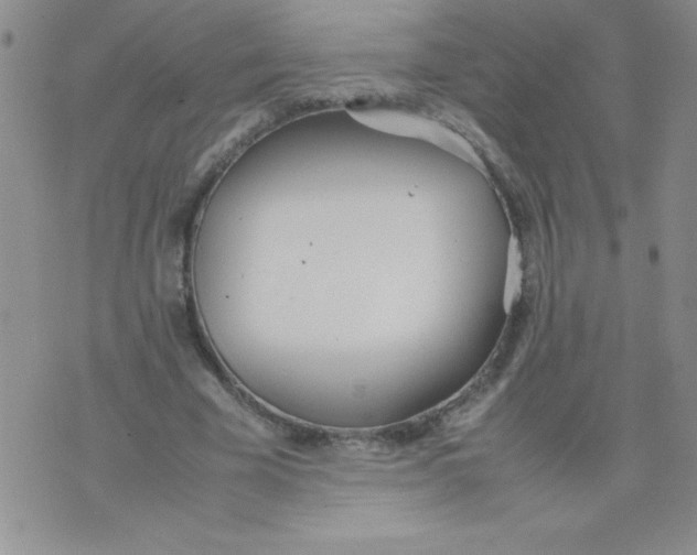 X0000074310585200609152009