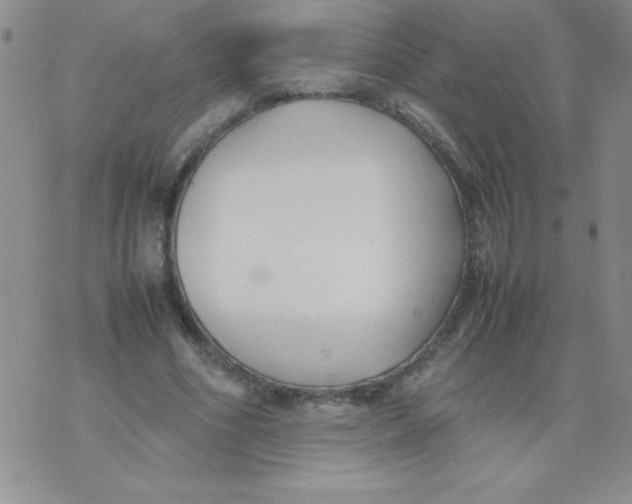 X0000074310586200609152009