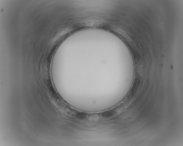 X0000074310587200609152009