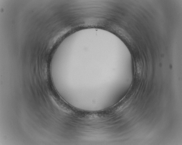 X0000074310588200609152009