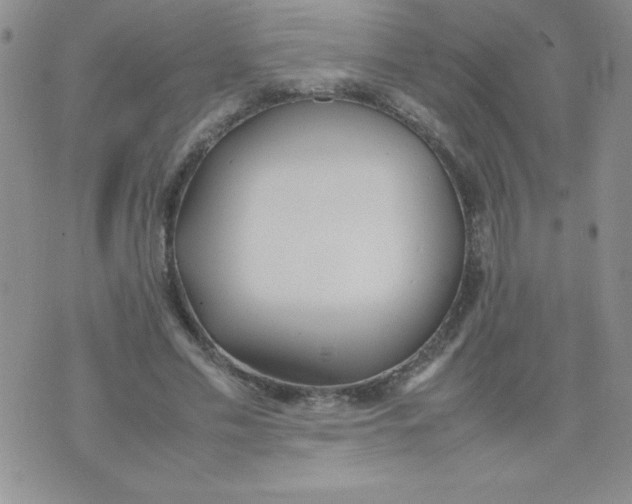 X0000074310589200609152009