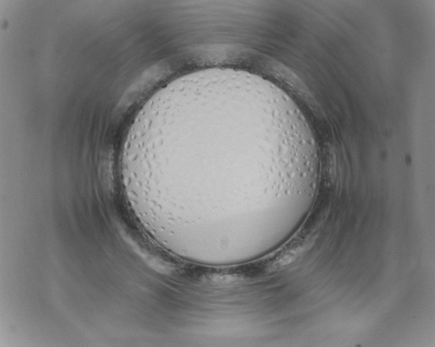 X0000074310590200609152009