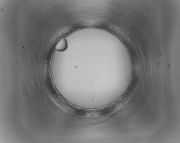 X0000074310591200609152009