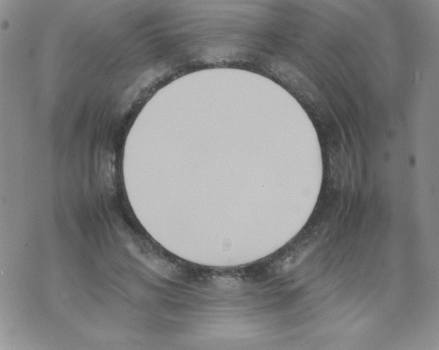 X0000074310592200609152009