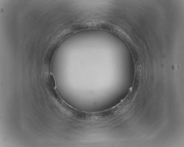 X0000074310593200609152009