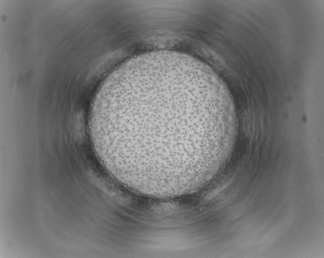 X0000074310594200609152009