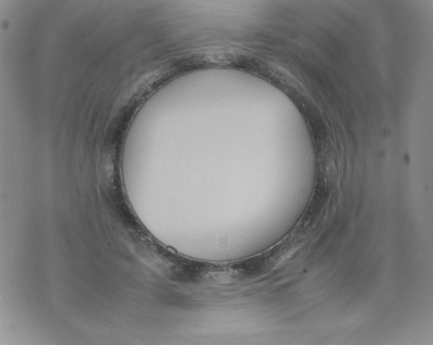 X0000074310595200609152009