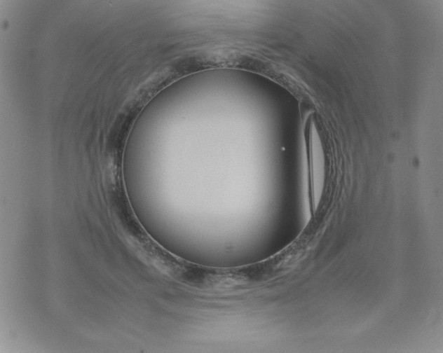 X0000074310597200609152009