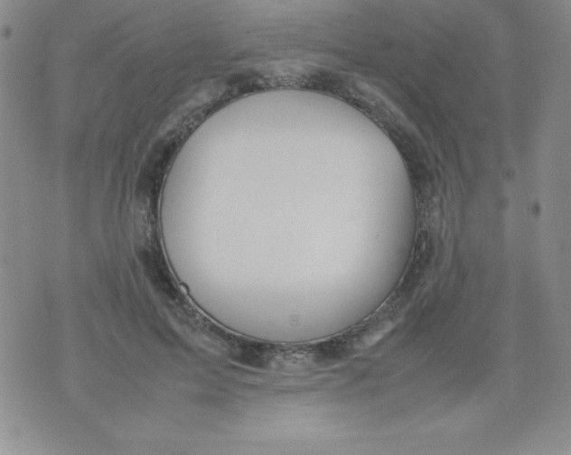 X0000074310599200609152009