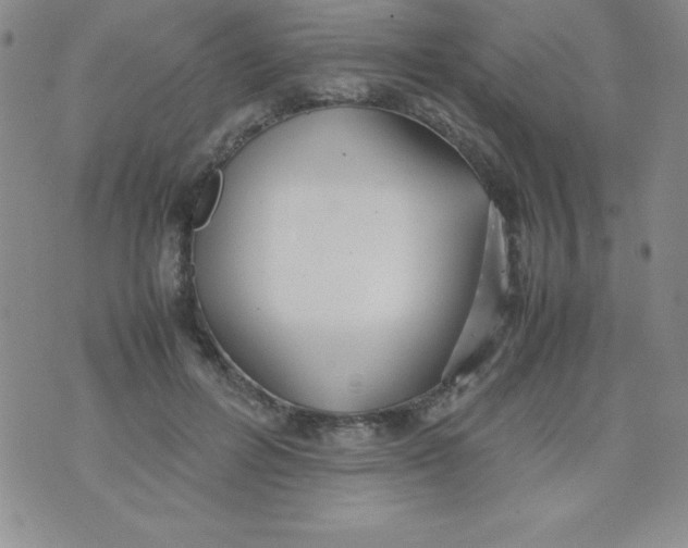 X0000074310600200609152009