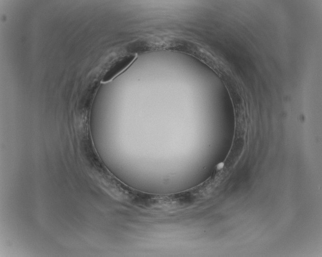 X0000074310601200609152009