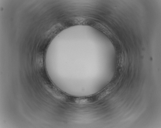 X0000074310602200609152009