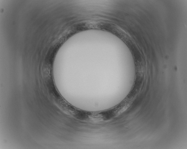 X0000074310603200609152009