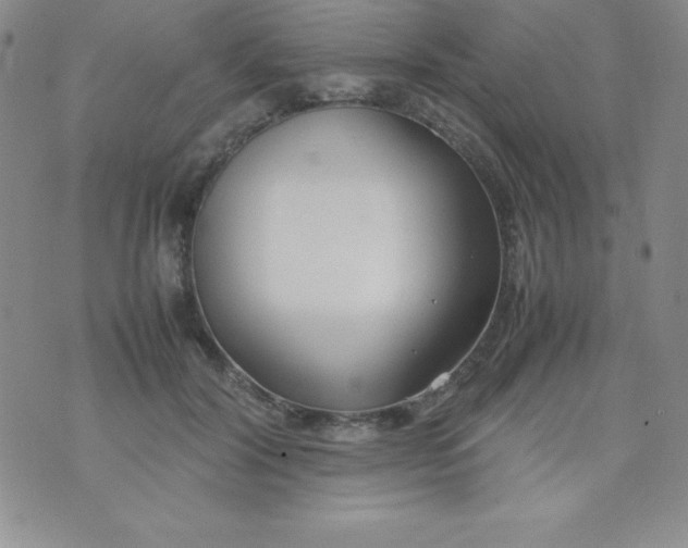 X0000074310604200609152009