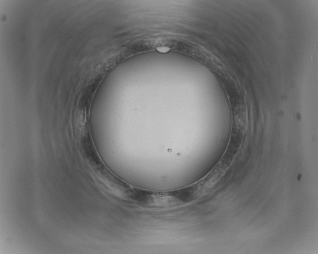 X0000074310605200609152008