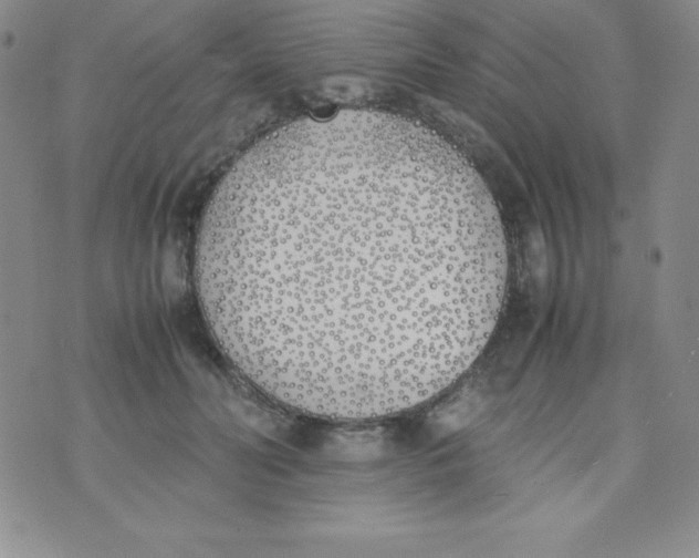 X0000074310606200609152008