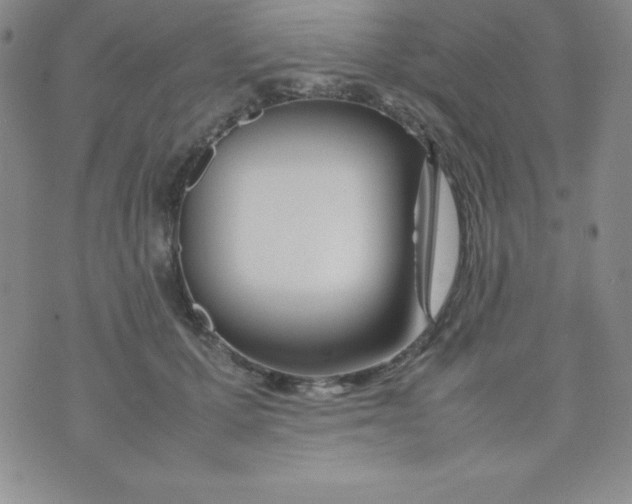 X0000074310607200609152008