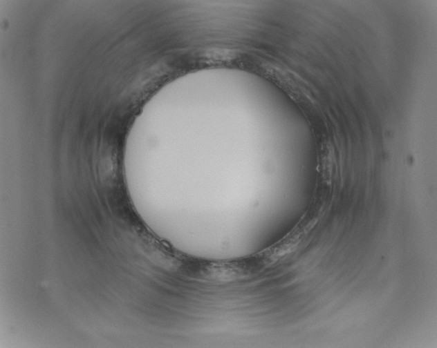 X0000074310608200609152008