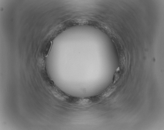 X0000074310609200609152008