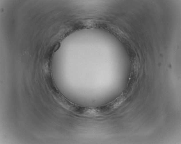 X0000074310611200609152008