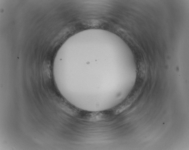 X0000074310612200609152008