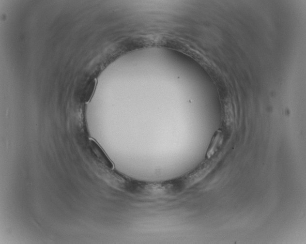 X0000074310613200609152008