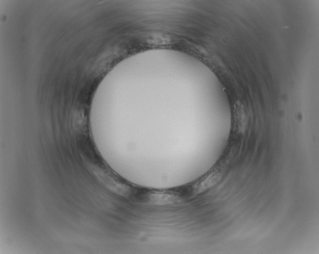 X0000074310614200609152008