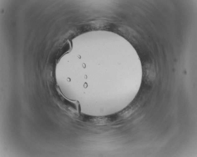 X0000074310615200609152008