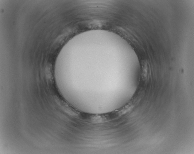 X0000074310616200609152008