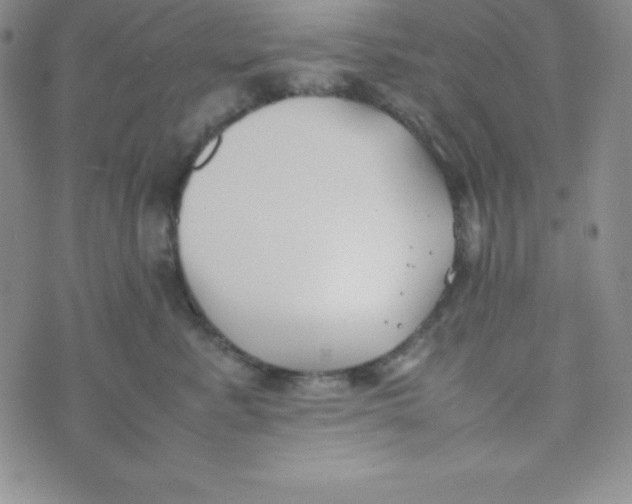 X0000074310619200609152008