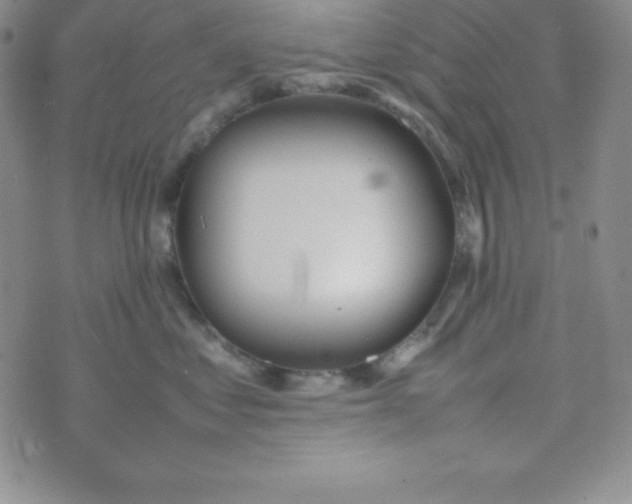 X0000074310621200609152008