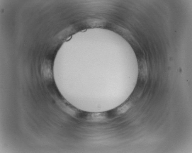 X0000074310622200609152008