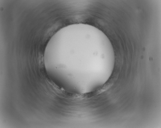 X0000074310624200609152008