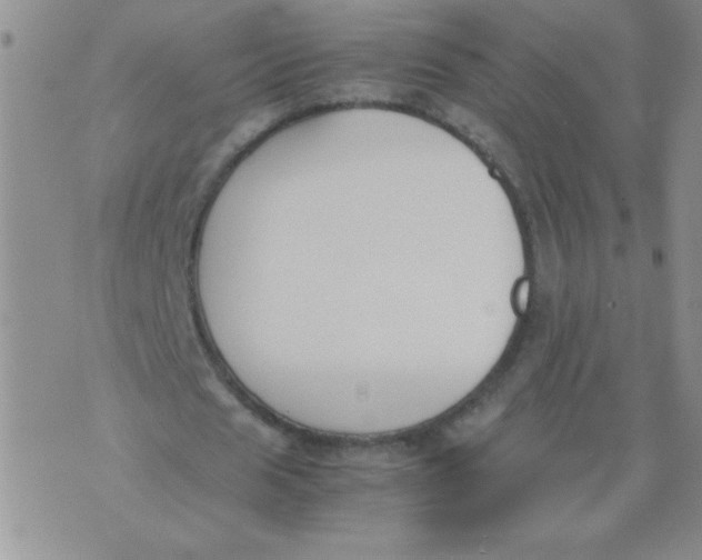 X0000074310625200609152007